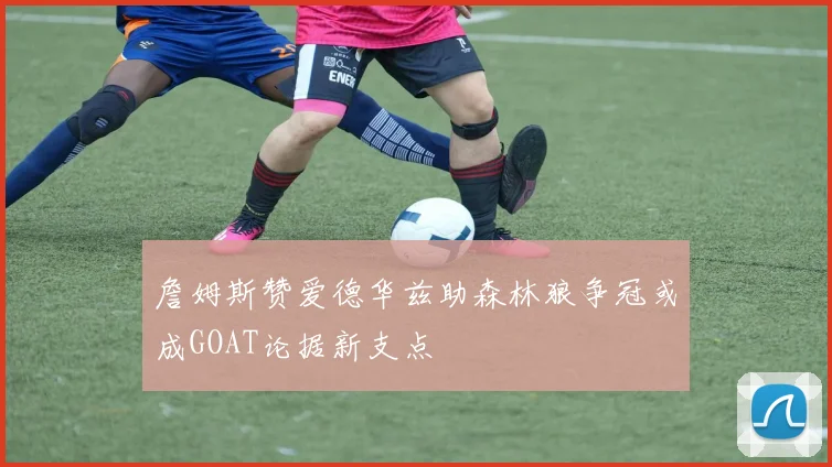 詹姆斯赞爱德华兹助森林狼争冠或成GOAT论据新支点