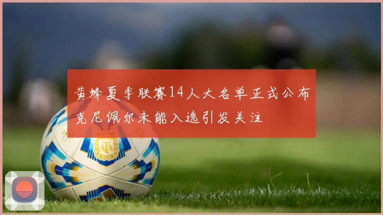 黄蜂夏季联赛14人大名单正式公布克尼佩尔未能入选引发关注